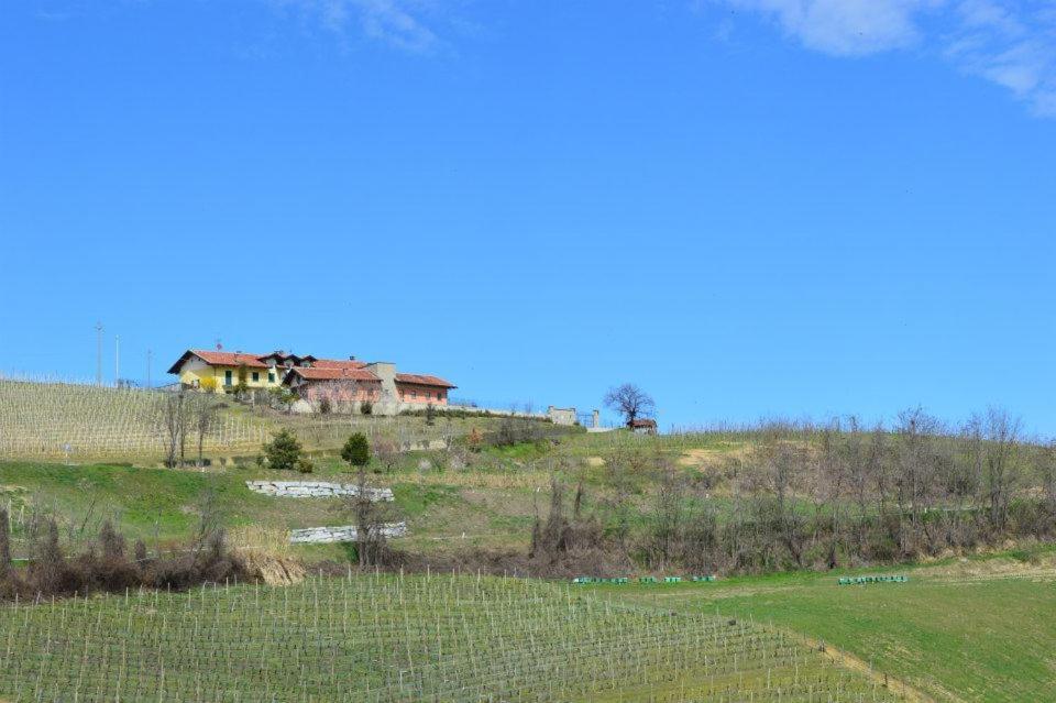 Agriturismo Cascina Rabalot Diano dʼAlba Εξωτερικό φωτογραφία
