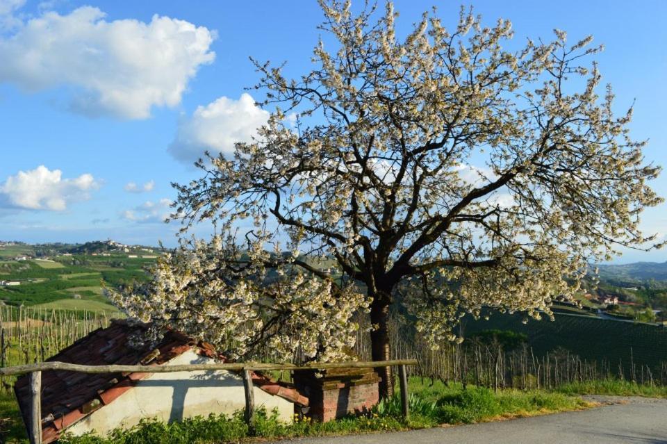 Agriturismo Cascina Rabalot Diano dʼAlba Εξωτερικό φωτογραφία