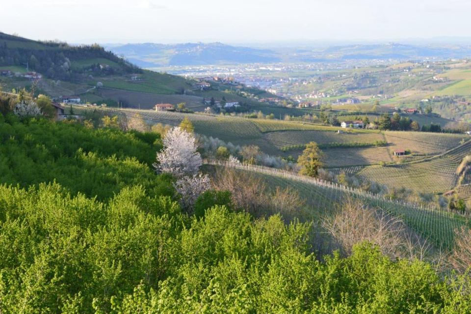 Agriturismo Cascina Rabalot Diano dʼAlba Εξωτερικό φωτογραφία